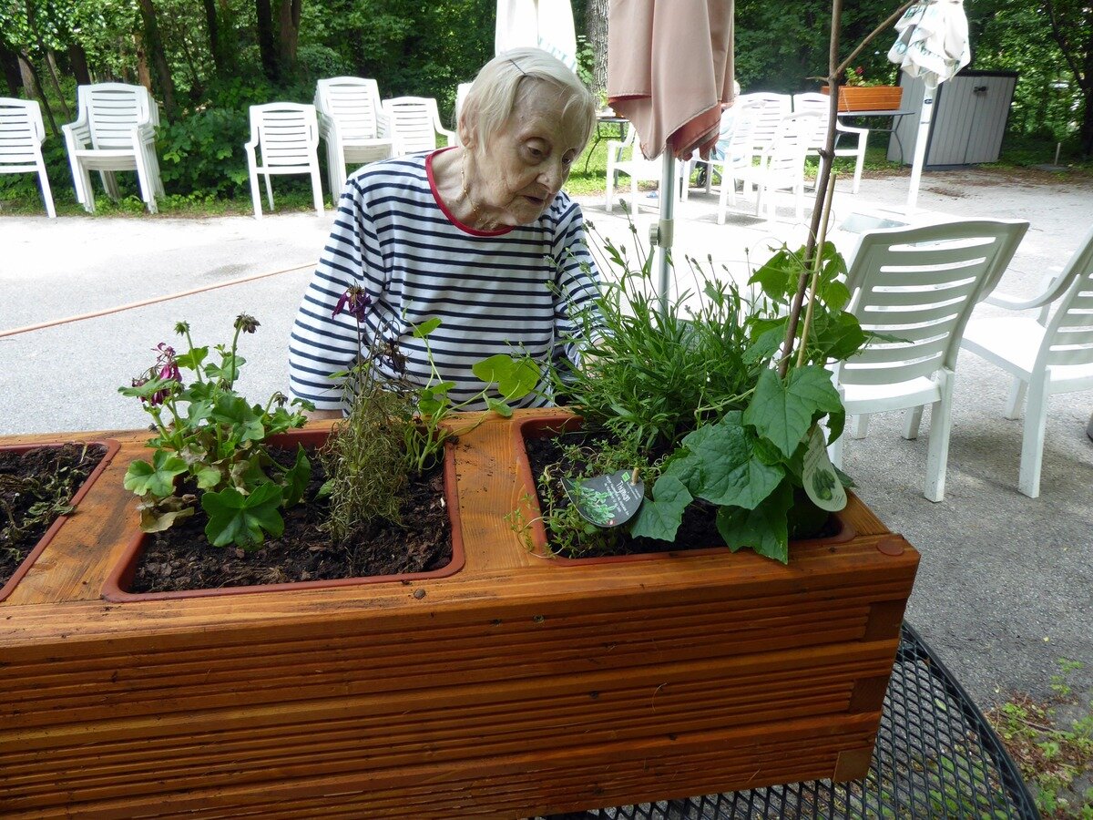 Gartenprojekt in Kursana Einrichtung Wien-Tivoli | © Kursana