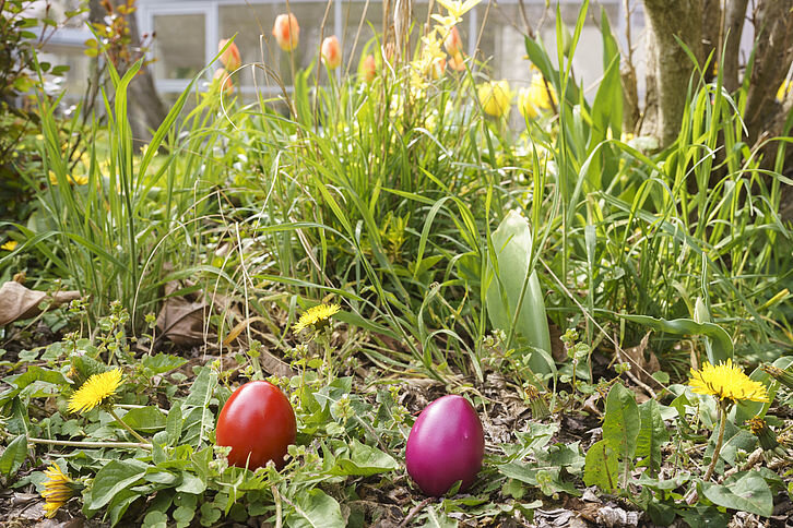 Der Osterhase versteckte bunt gefärbte Eier im weitläufigen Garten der Residenz | © Bildagentur Zolles KG/Christian Hofer