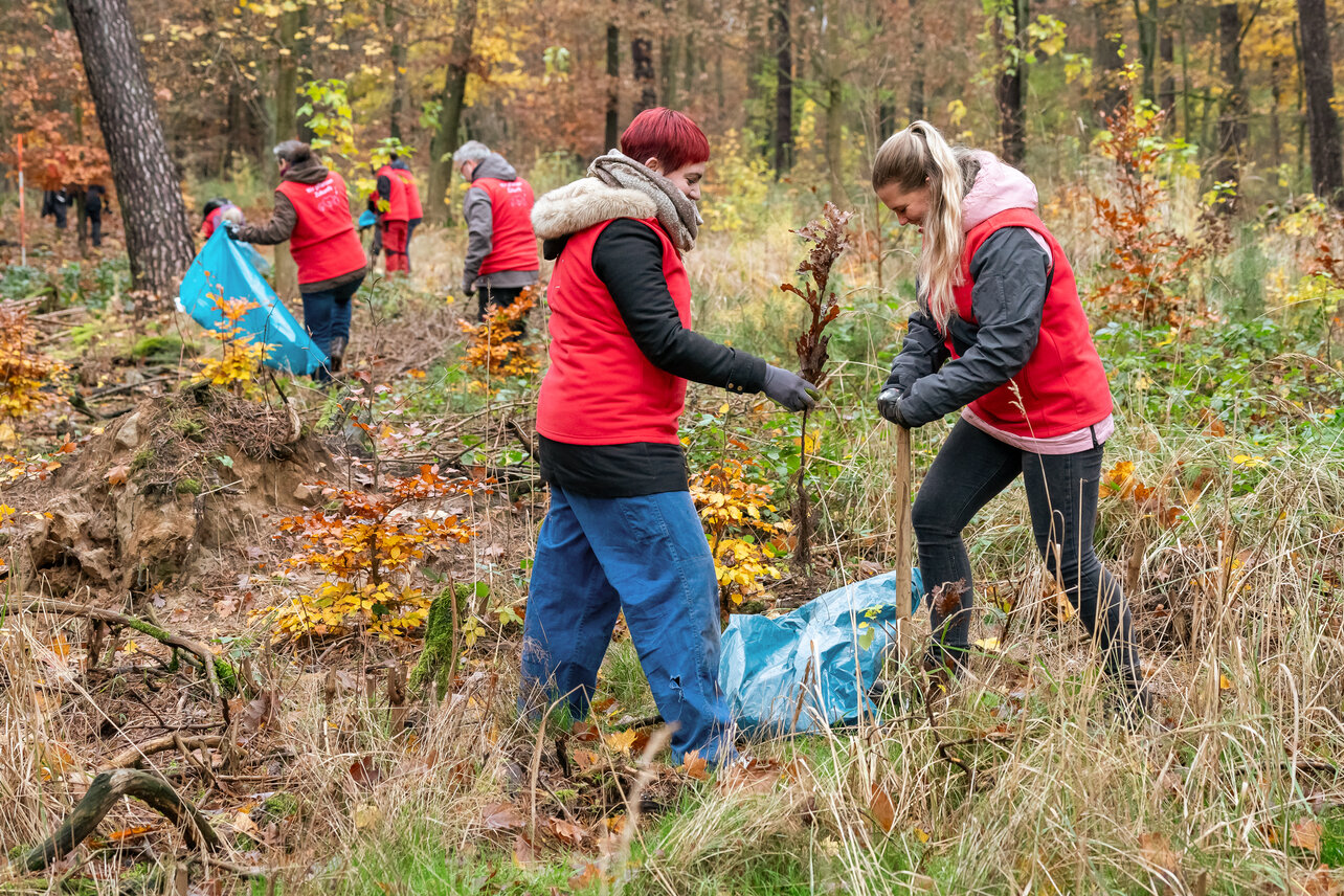 Personen im Wald beim Bäume pflanzen | © Dussmann Group / Fotos: Thomas Ecke